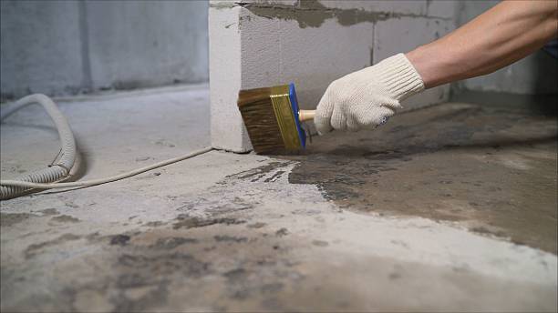 Top rated local Basement Waterproofing specialists in Helmetta, NJ